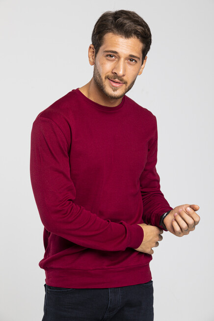 Süperlife Erkek Bisiklet Yaka Slim Fit İnce Sweatshirt SPR 20K17