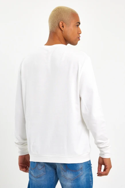 Süperlife Erkek Bisiklet Yaka Regular Fit İnce Sweatshirt SPR 20K30