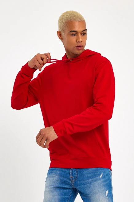 Süperlife Erkek Kapşonlu Regular Fit İnce Sweatshirt SPR 20K55