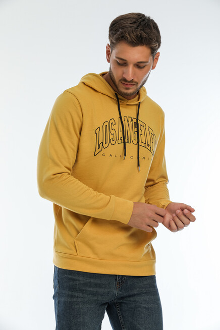 Erkek Kapşonlu Regular Fit Baskılı İnce Sweatshirt SPR22SW163