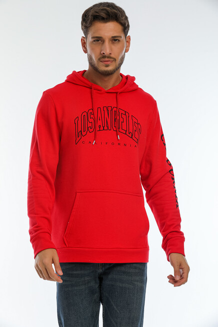 Erkek Kapşonlu Regular Fit Baskılı İnce Sweatshirt SPR22SW163