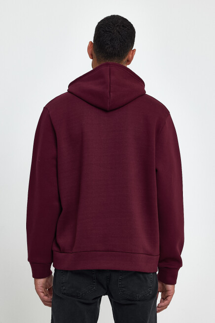 Erkek Kapşonlu Rahat Kalıp İçi Polarlı 3 iplik  Wıllams. Brooklyn Baskılı Swetashırt spr24sw04