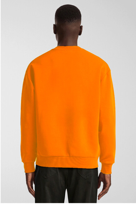 Erkek Bisiklet Yaka Rahat Kalıp 3 iplik İçi Polarlı Kalın Sweatshirt SPR24SW36