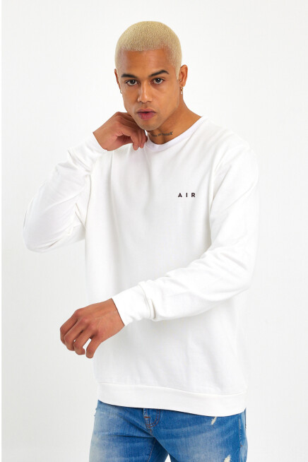 Erkek Bisiklet Yaka Regular Kalıp İnce AR Baskılı Sweatshırt SPR24SW124