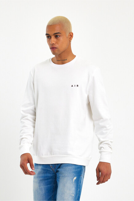 Erkek Bisiklet Yaka Regular Kalıp İnce AR Baskılı Sweatshırt SPR24SW124