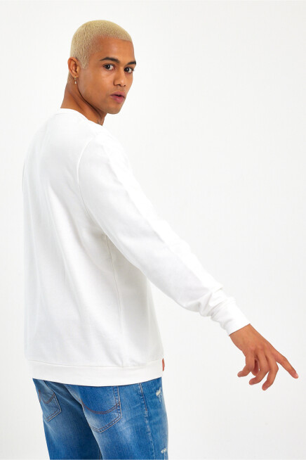 Erkek Bisiklet Yaka Regular Kalıp İnce AR Baskılı Sweatshırt SPR24SW124