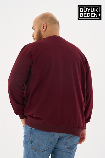 Erkek Büyük Beden Bisiklet Yaka İnce Sweatshirt – Regular Fit %64 Pamuklu SPR26BSW956