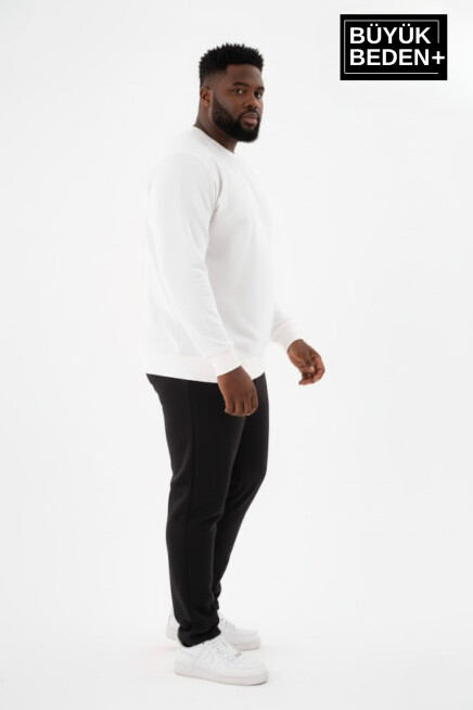 Erkek Büyük Beden Bisiklet Yaka Kollar ve Etek Ribanalı İnce Sweatshirt SPR26BSW956