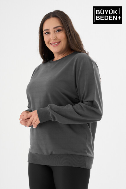 Kadın Büyük Beden Bisiklet Yaka İnce Sweatshirt SPR24BSWK56