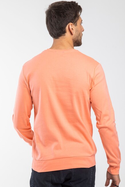 Süperlife Erkek Bisiklet Yaka Slim Fit İnce Sweatshirt SPR 20K17