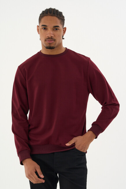 Süperlife Erkek Gri Bisiklet Yaka Ribanalı Regular Fit Sweatshirt spr26swk930