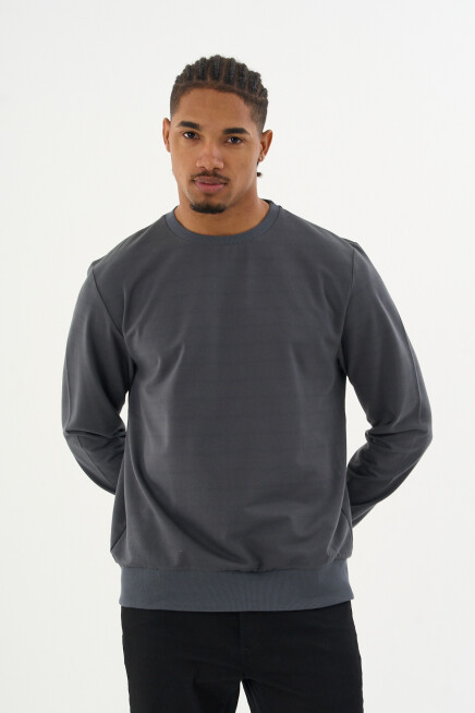 Süperlife Erkek Gri Bisiklet Yaka Ribanalı Regular Fit Sweatshirt spr26swk930