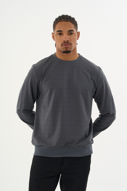 Süperlife Erkek Gri Bisiklet Yaka Ribanalı Regular Fit Sweatshirt spr26swk930