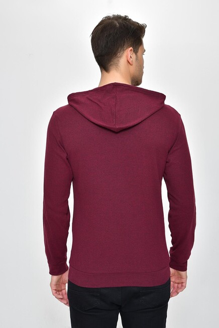 Erkek Kapşonlu Slim Fit Sweatshirt SPR 925