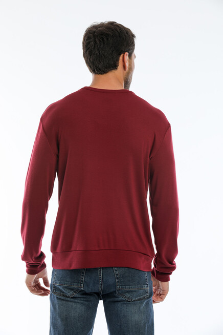 Erkek Bisiklet Yaka Slim Fit Brookyln Baskılı İnce Sweatshirt SPR22SW102