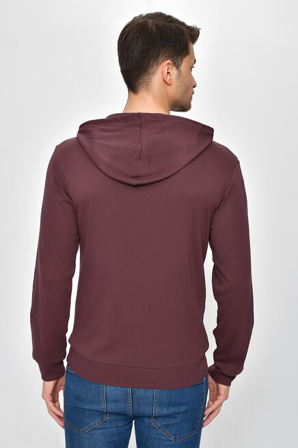 Erkek Kapşonlu Slim Fit Sweatshirt SPR 925