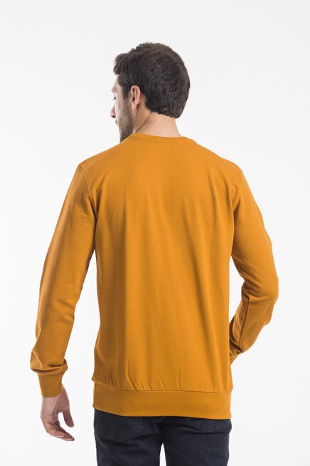 Bisiklet Yaka Uzun Kollu Dar Kalıp İnce  Erkek Sweatshirt SPR2019K18