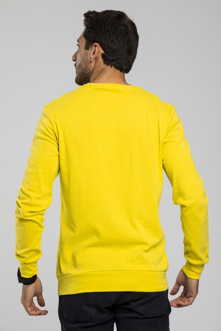 Bisiklet Yaka Uzun Kollu Dar Kalıp İnce  Erkek Sweatshirt SPR2019K18