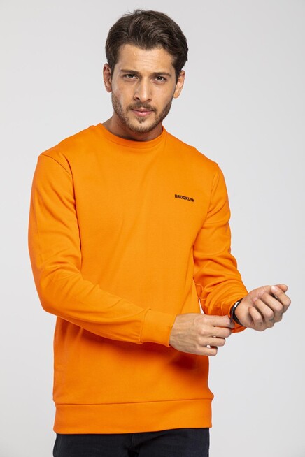 Bisiklet Yaka Uzun Kollu Dar Kalıp İnce  Erkek Sweatshirt SPR2019K18