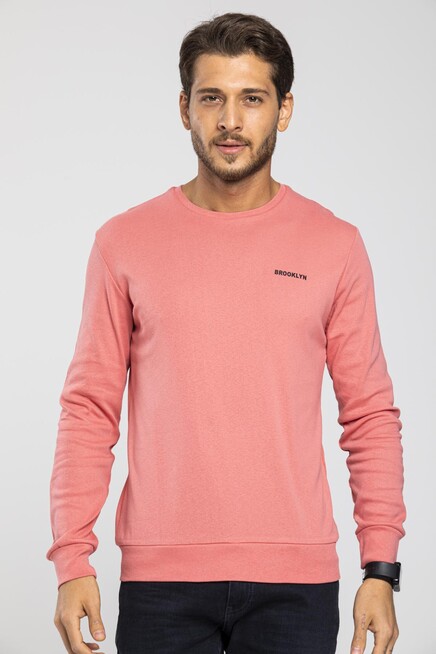 Bisiklet Yaka Uzun Kollu Dar Kalıp İnce  Erkek Sweatshirt SPR2019K18