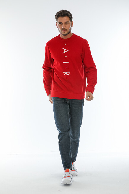 Erkek Bisiklet Yaka Regular Fit Air Baskılı İnce Sweatshirt SPR22SW131