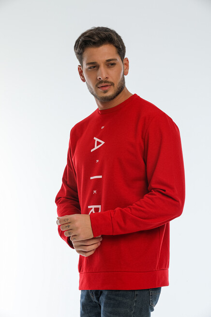 Erkek Bisiklet Yaka Regular Fit Air Baskılı İnce Sweatshirt SPR22SW131