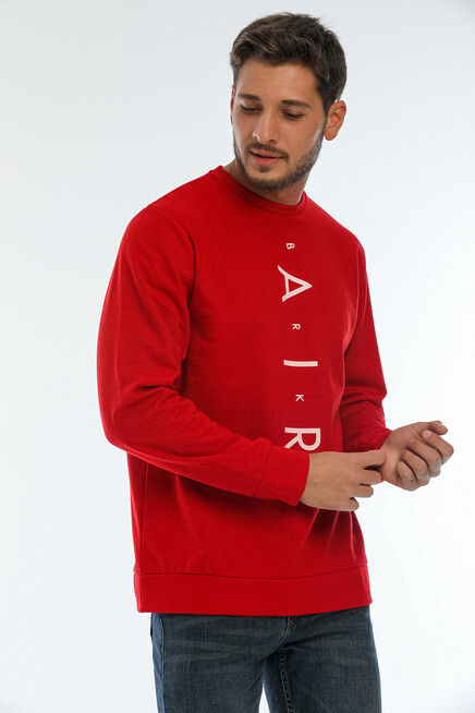 Erkek Bisiklet Yaka Regular Fit Air Baskılı İnce Sweatshirt SPR22SW131