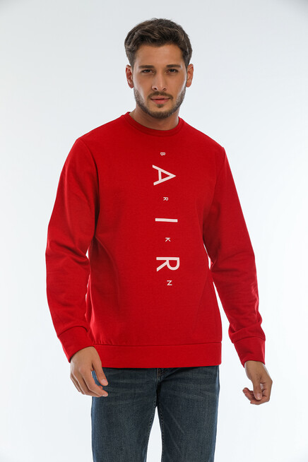 Erkek Bisiklet Yaka Regular Fit Air Baskılı İnce Sweatshirt SPR22SW131