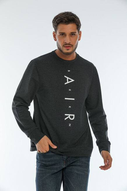 Erkek Bisiklet Yaka Regular Fit Air Baskılı İnce Sweatshirt SPR22SW131