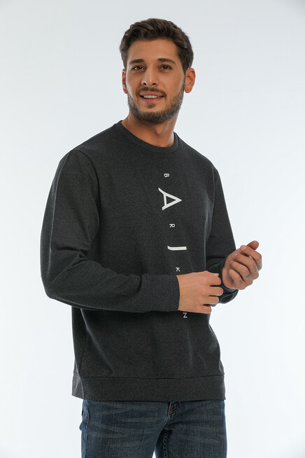 Erkek Bisiklet Yaka Regular Fit Air Baskılı İnce Sweatshirt SPR22SW131