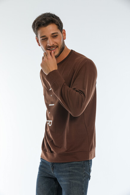 Erkek Bisiklet Yaka Regular Fit Air Baskılı İnce Sweatshirt SPR22SW131