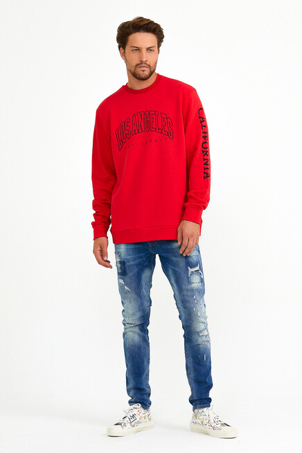 Erkek Bisiklet Yaka Regular Fit Ön Ve Kol Baskılı İnce Sweatshirt SPR22SW133