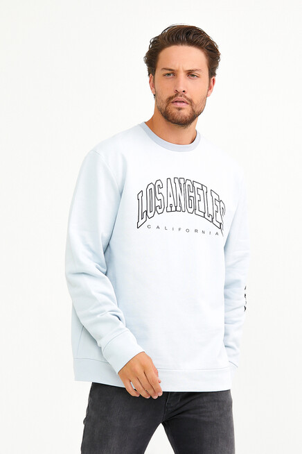 Süperlife Erkek Bisiklet Yaka Regular Fit Ön Ve Kol Baskılı İnce Sweatshirt SPR22SW133