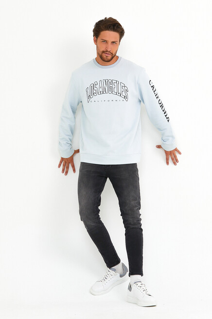 Erkek Bisiklet Yaka Regular Fit Ön Ve Kol Baskılı İnce Sweatshirt SPR22SW133