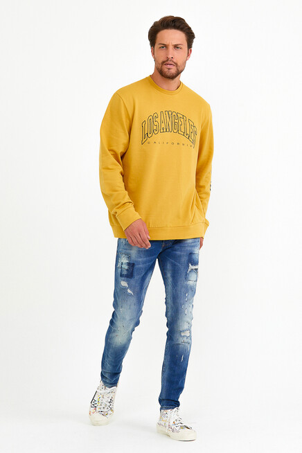 Erkek Bisiklet Yaka Regular Fit Ön Ve Kol Baskılı İnce Sweatshirt SPR22SW133