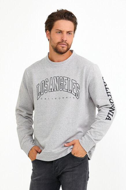 Süperlife Erkek Bisiklet Yaka Regular Fit Ön Ve Kol Baskılı İnce Sweatshirt SPR22SW133