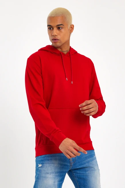 Erkek Kapşonlu Regular Fit İnce Sweatshirt SPR 20K55