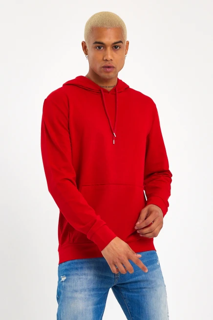 Erkek Kapşonlu Regular Fit İnce Sweatshirt SPR 20K55