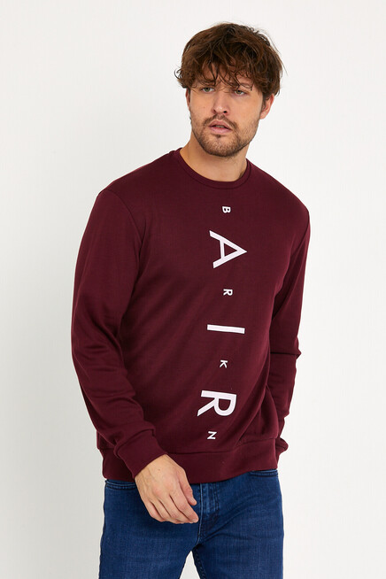 Süperlife Erkek Bisiklet Yaka Slim fit Air Baskılı İnce Sweatshirt SPR22sw101