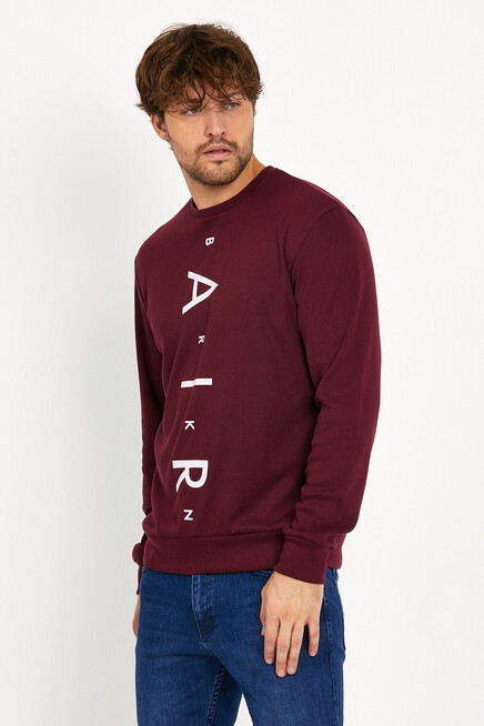 Süperlife Erkek Bisiklet Yaka Slim fit Air Baskılı İnce Sweatshirt SPR22sw101