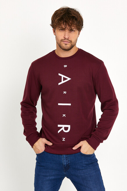 Erkek Bisiklet Yaka Slim fit Air Baskılı İnce Sweatshirt SPR22sw101