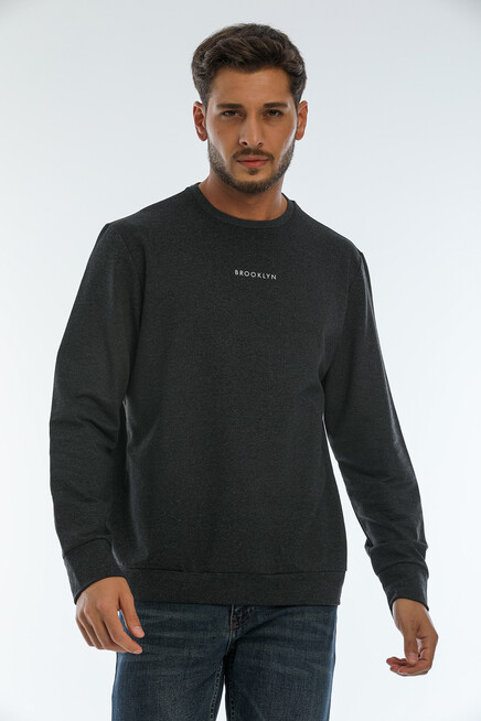 Erkek Bisiklet Yaka Regular Fit Brooklyn Baskılı İnce Sweatshirt SPR22SW132