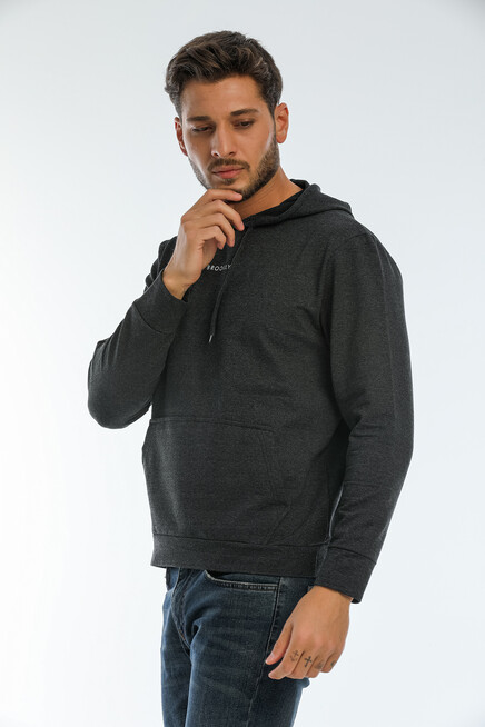 Erkek Kapşonlu Regular Fit Brooklyn Baskılı İnce Sweatshirt SPR22SW161