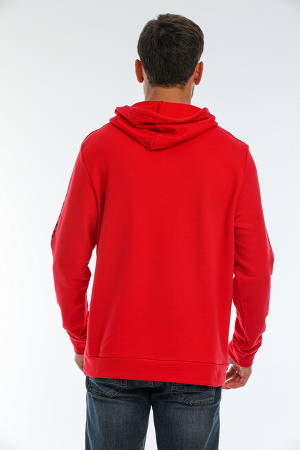 Erkek Kapşonlu Regular Fit Baskılı İnce Sweatshirt SPR22SW163