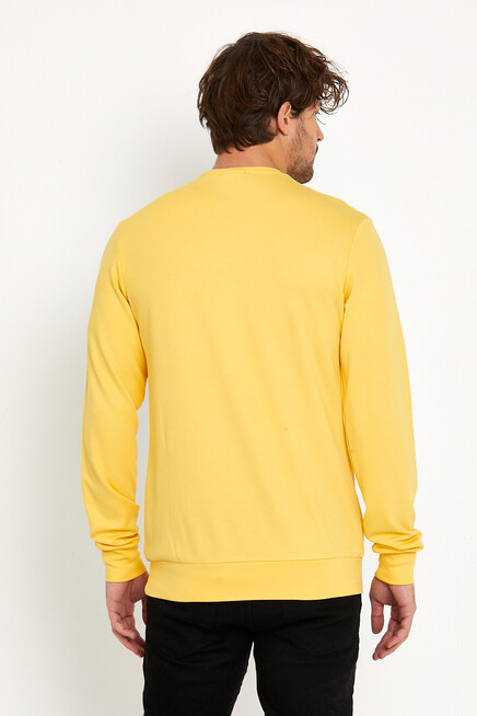 Süperlife Erkek Bisiklet Yaka Slim fit Air Baskılı İnce Sweatshirt SPR22sw101