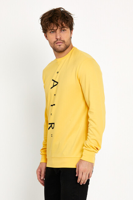 Süperlife Erkek Bisiklet Yaka Slim fit Air Baskılı İnce Sweatshirt SPR22sw101