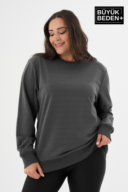 Kadın Büyük Beden Bisiklet Yaka İnce Sweatshirt SPR24BSWK56