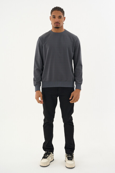 Süperlife Erkek Gri Bisiklet Yaka Ribanalı Regular Fit Sweatshirt spr26swk930