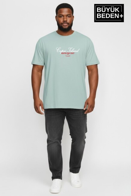 Erkek Büyük Beden Capri Island Baskılı 3xl-6xl Bisiklet Yaka Tshırt SPR26BTS510-14
